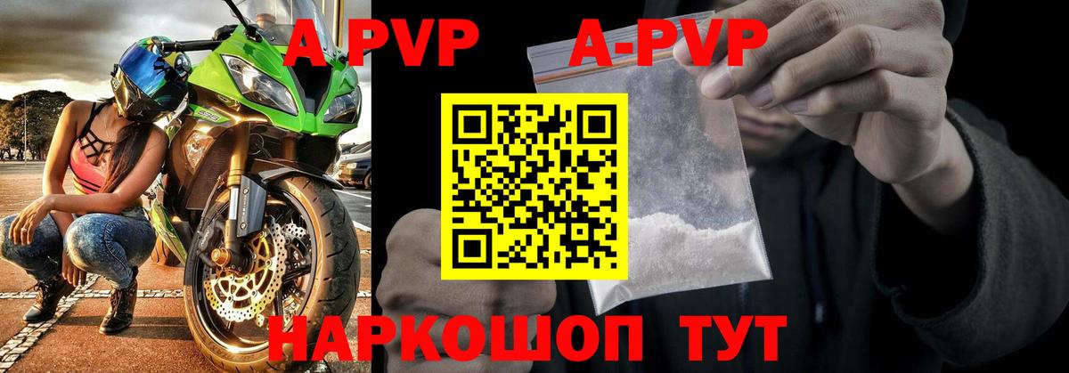 A PVP СК КРИС Оренбург