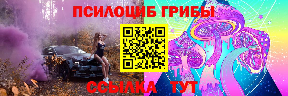 Галлюциногенные грибы Cubensis Оренбург