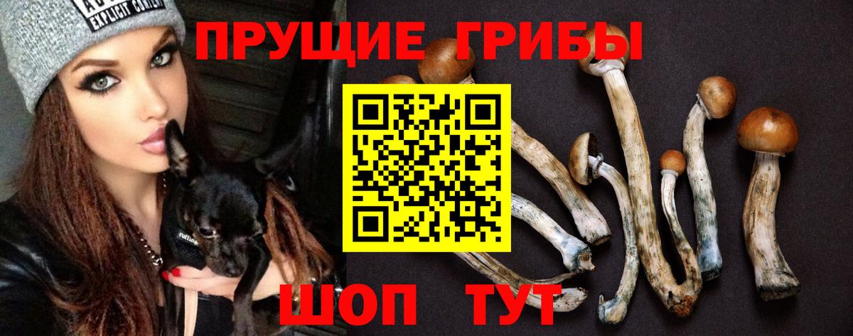Галлюциногенные грибы ЛСД  Вход с VPN  Оренбург 